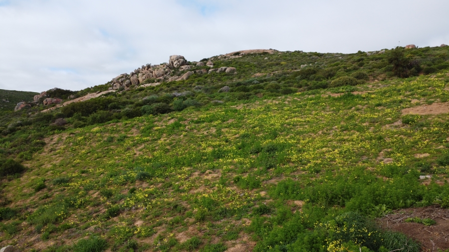 0 Bedroom Property for Sale in Steenbergs Cove Western Cape